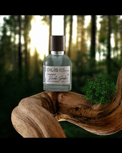 Мужские духи DILIS Black Smoke Niche Collection
