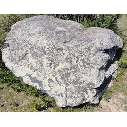 Валун хвойничек ландшафтный 2