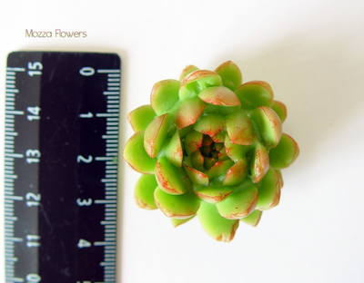 "Большой  суккулент" Силиконовый молд