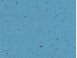 SMU4223 Unite LX Hausys