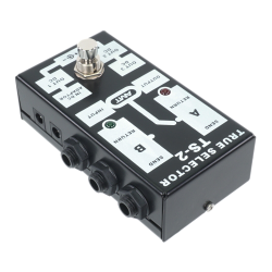 AMT TS-2 - пассивный двухканальный коммутатор (селектор) [без БП]