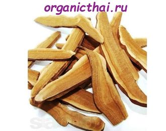 Чай Линчжи - Как Заваривать Сухой Гриб Линчжи