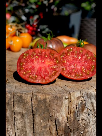 Томат Муаровый Закат, 10 шт