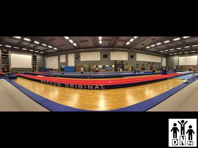 Акробатическая дорожка соревновательная DNN