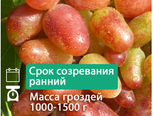 Праздничный