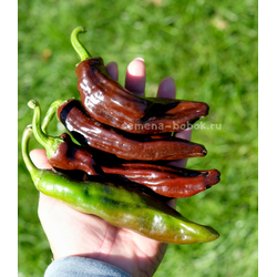 Перец острый Ethiopian Brown, 10 шт