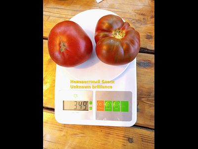 Томат Неизвестный блеск (Unknown brilliance)