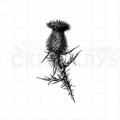 Штамп головка чертополоха