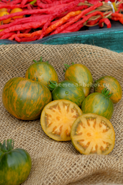 Томат Babylons Glow (Гном Сияние Вавилона), 10 шт