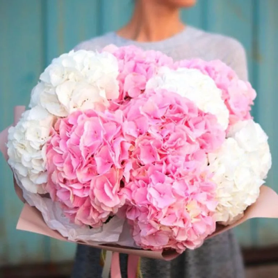 11 голубых гортензий в крафте