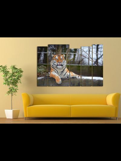 Модульная картина "Спокойный тигр"
