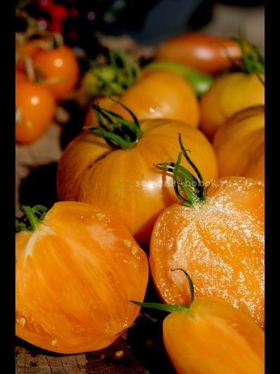 Томат Дынный Ликёр, 10 шт