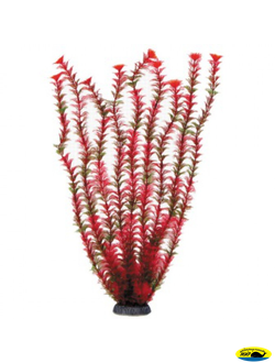Ар1250 5574Р Растение пласт.Амбулия красная 55см.
