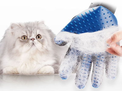 Перчатка-рукавица для вычесывания шерсти