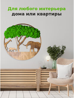 ЖИВАЯ ЭКО-КАРТИНА 1009