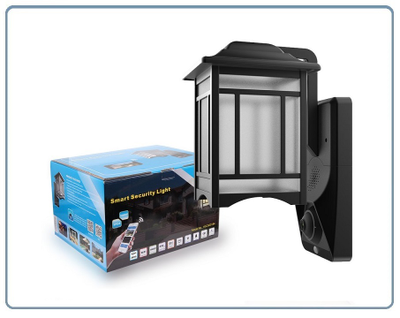 Уличная WiFi/LAN охранная видеокамера + фонарь с аудио каналом (дуплекс), с DVR. Full HD (Homsca Light)