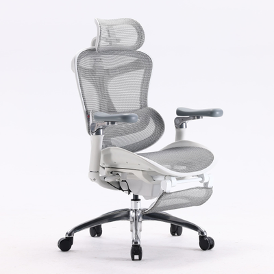 Ортопедическое кресло SIHOO Doro C300 Pro | серо-белое