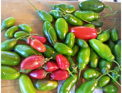 Перец острый Rocoto montufar