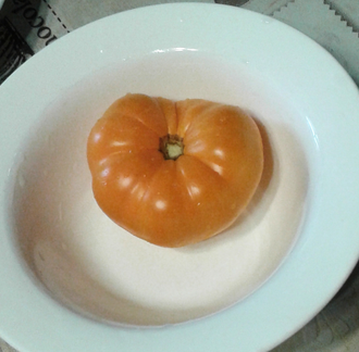 Семена томата Оранжевый Щербет Амишей