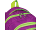 Рюкзак BRAUBERG для старших классов/студентов/молодежи, "Крокус", 30 литров, 46х34х18 см, 225521
