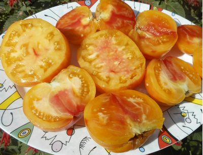 Томат Старый немецкий (Old German)