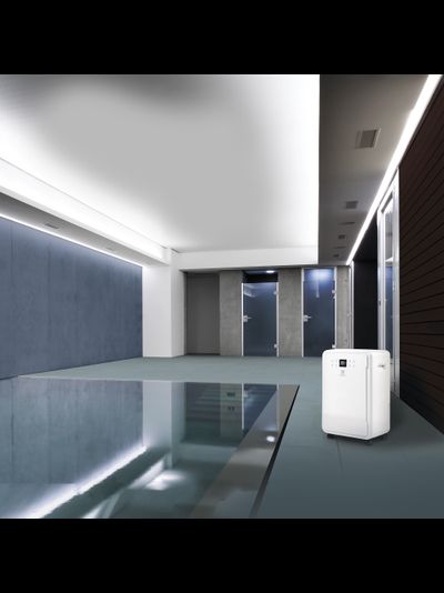 Комплект: Осушитель воздуха Electrolux EDH-65L + метеостанция RITMIX CAT-041 WHITE
