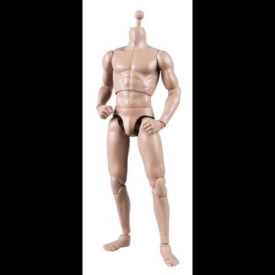 Тело с шеей, кистями и стопами - NEW TYPE STANDARD MALE BODY (MB003) - COOMODEL