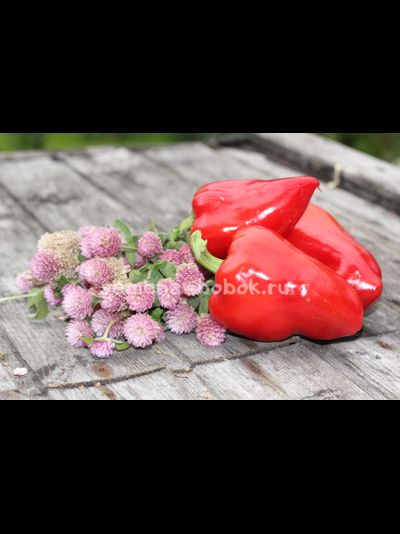 Перец сладкий Ультраранний букет, 10 шт.