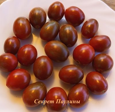 Томат Секрет Паулины (Paulinas Secret)
