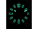 Мужские часы Orient RA-AC0N02Y10B