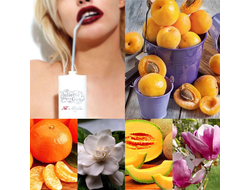 Juliette Has a Gun NOT A PERFUME