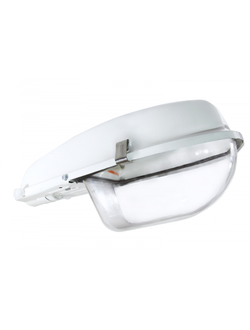 светильник РКУ 97-125-002 со стеклом TDM