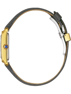 Наручные часы Citizen EW5622-09P