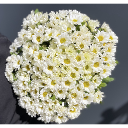 Сантини 15 шт