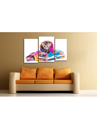 Модульная картина "Котенок в шали"