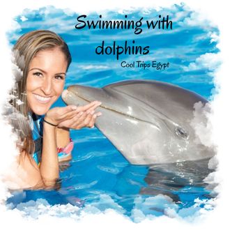 Dolphinarium - swimming with dolphins (15 min) in Sharm El Sheikh