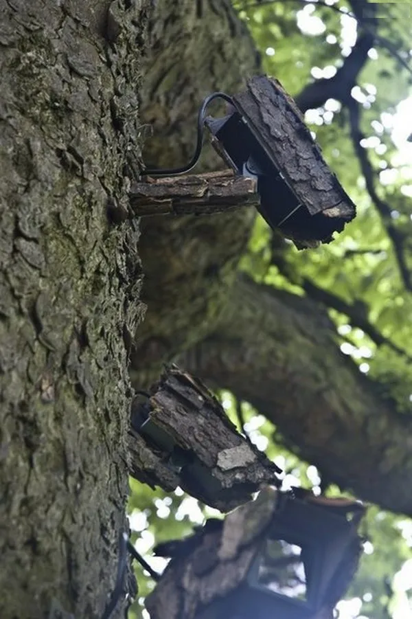 Поджарился на солнышке. Быват :-)