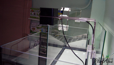 Cветильник Биодизайн Q-LED MINI Natur Light 5 Вт на аквариум 6,5-15 л