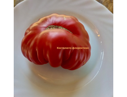 Томат Костолюто Фиорентино (Costoluto Fiorentino)