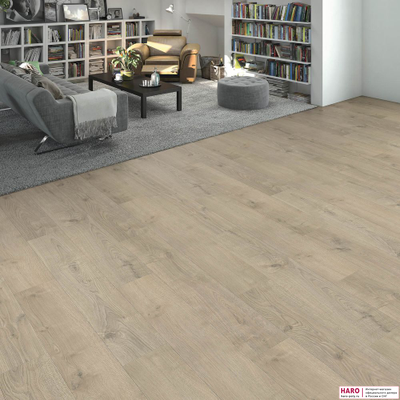 Ламинат Haro Дуб Торри Серый 544696 в интерьере гостиной