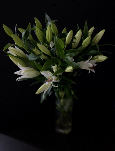 Лилия белая 9 шт