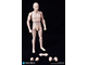 Тело без шеи с головой, кистями и стопами - All-New Advanced Body (Slim Version) 2.0 (OA60003) - DID