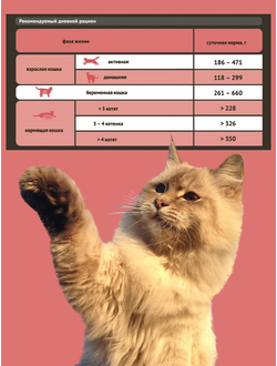 Probalance (Пробаланс) влажный корм (консерва) для активных кошек в соусе 415 г