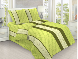 Рис. 300 вид 1