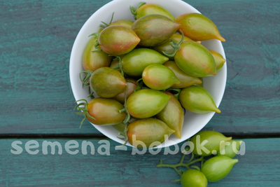 Томат Конфеты Сладкие Сосульки (Candy Sweet Icicle), 10 шт