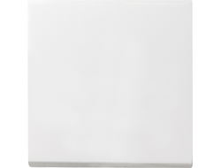 029627 Gira, Клавиша 1-клавишного выключателя, матовый белый