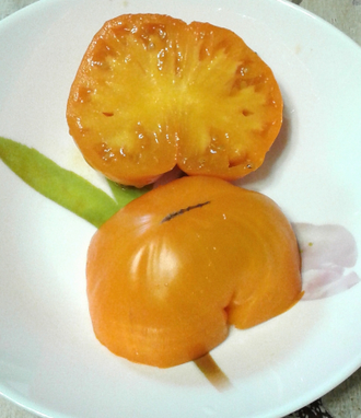 Семена томата Ранний оранжевый Розали