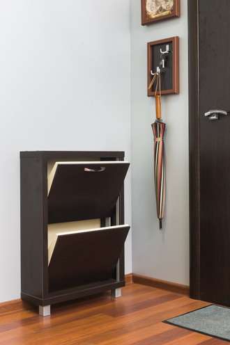 Обувница Айрон-2 (фасад стекло черное)