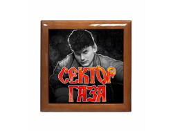 Шкатулка Сектор Газа, Юрий Хой №18