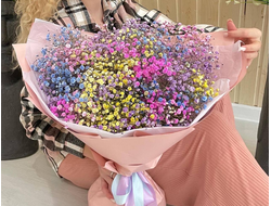 Цветная Гипсофила. Вечный букет